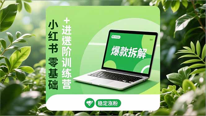 小红书零基础+高阶训练营：安全养号、爆款拆解、长效运营，实现稳定涨粉与变现-黑密阁